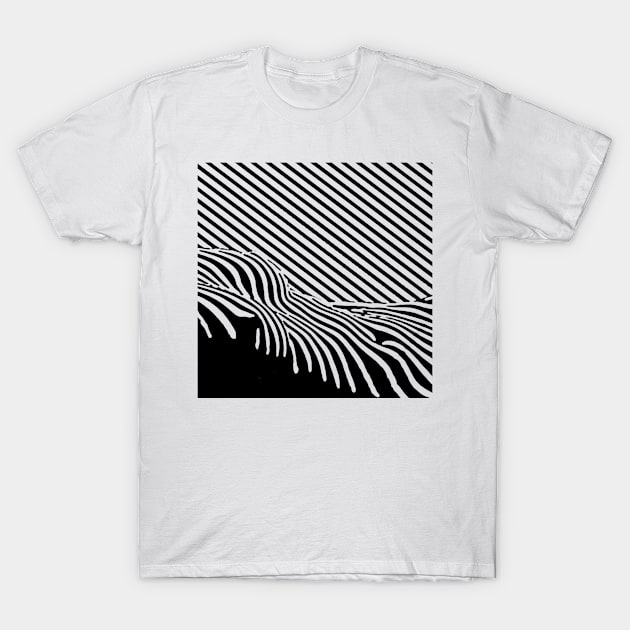 Modern Art Stripes (black) T-Shirt by Leon Loveless